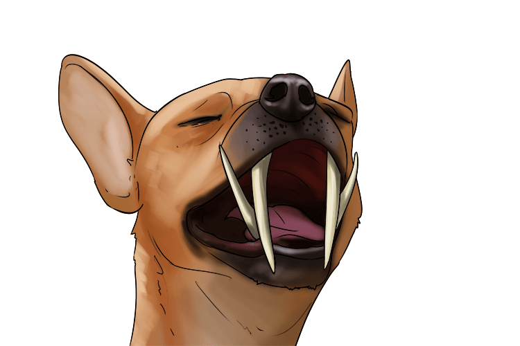 The canine (canine) had pointed teeth in the corners of its mouth